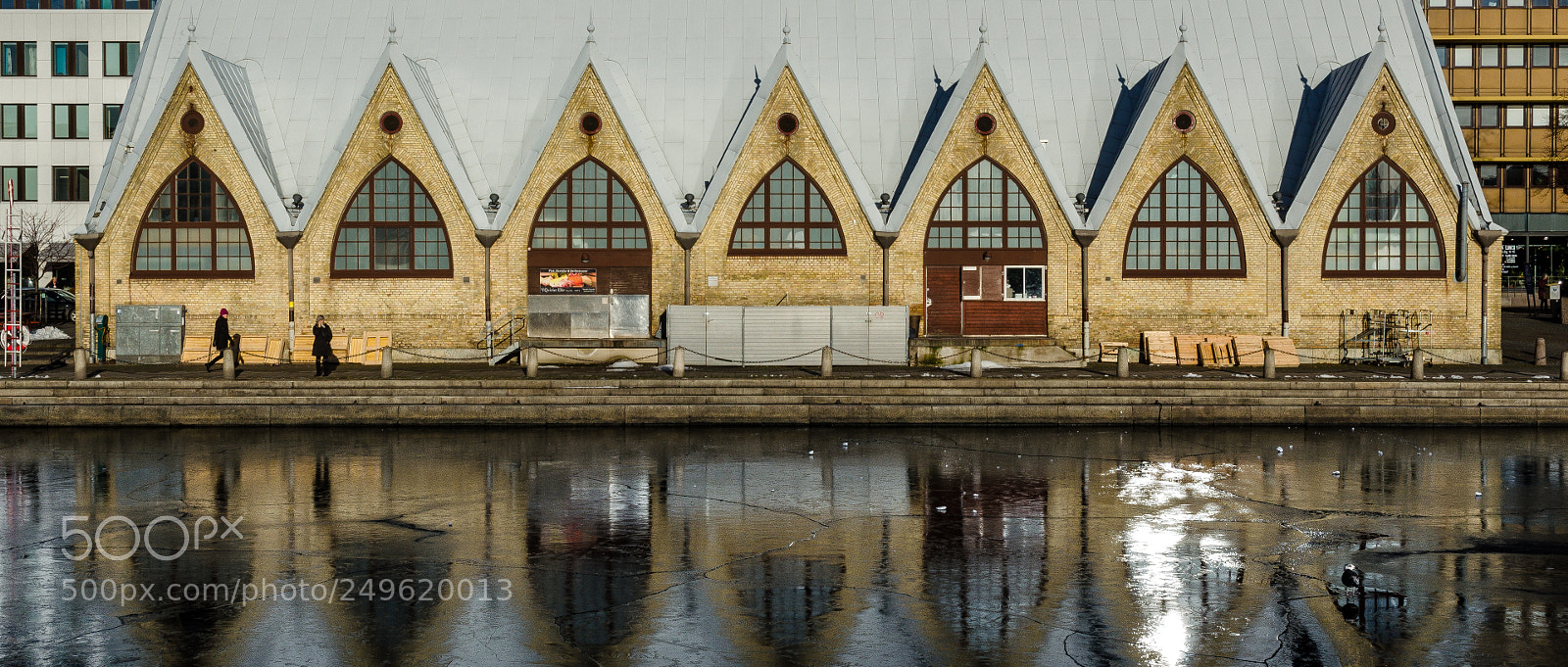 Nikon D5100 sample photo. Feskekoerka photography