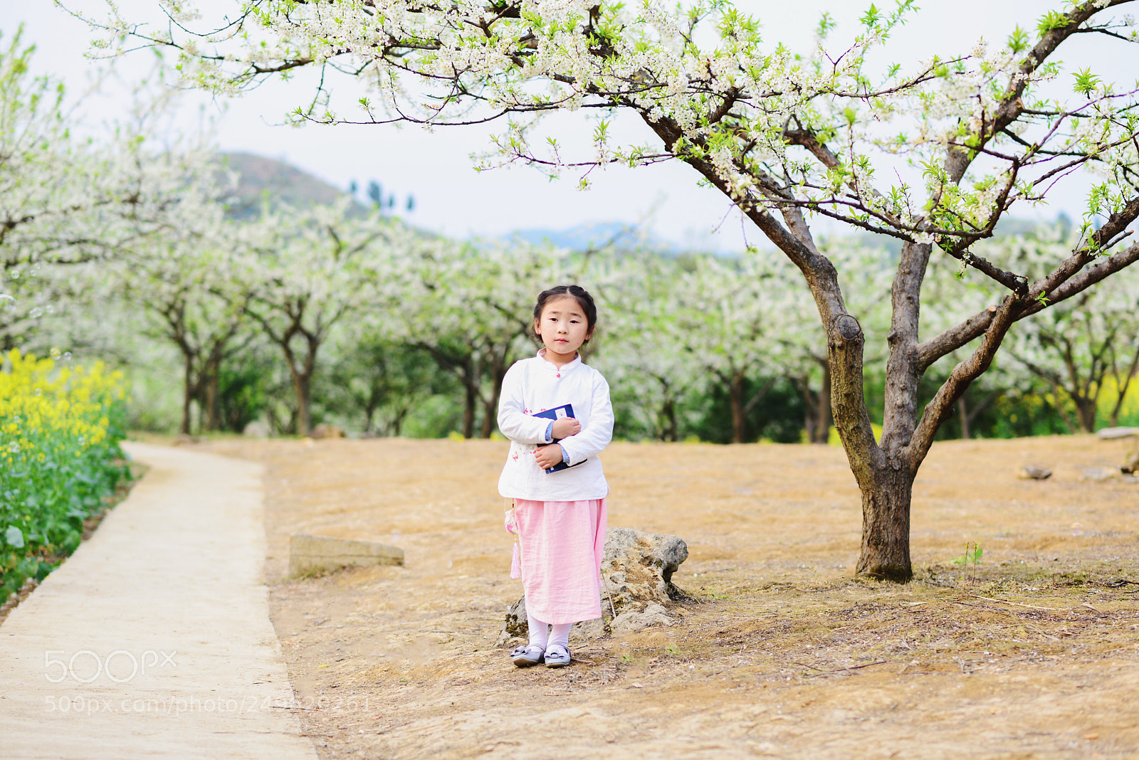 Nikon D610 sample photo. Sping photography