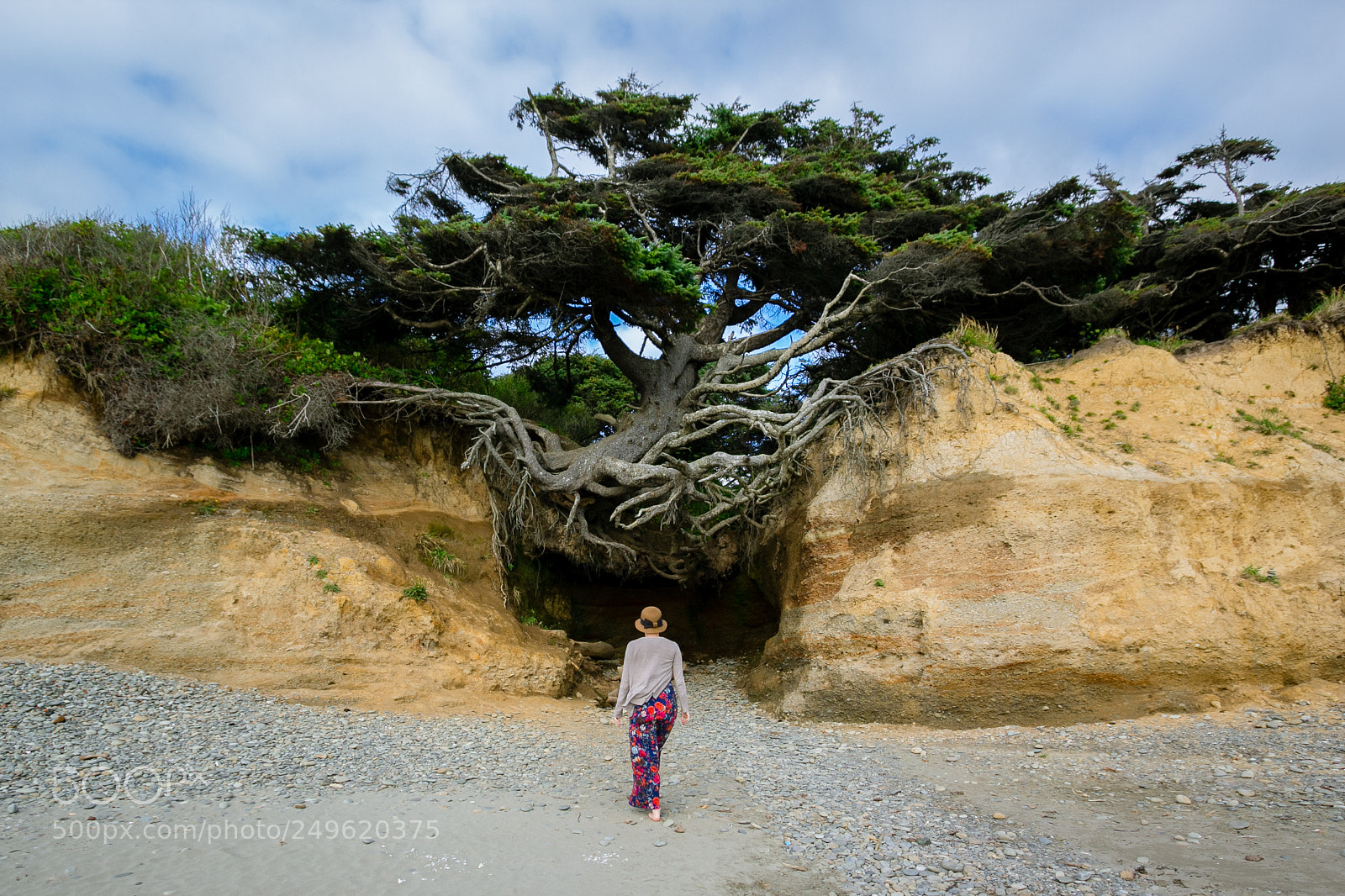 Canon EOS 60D sample photo. Tree root cave photography