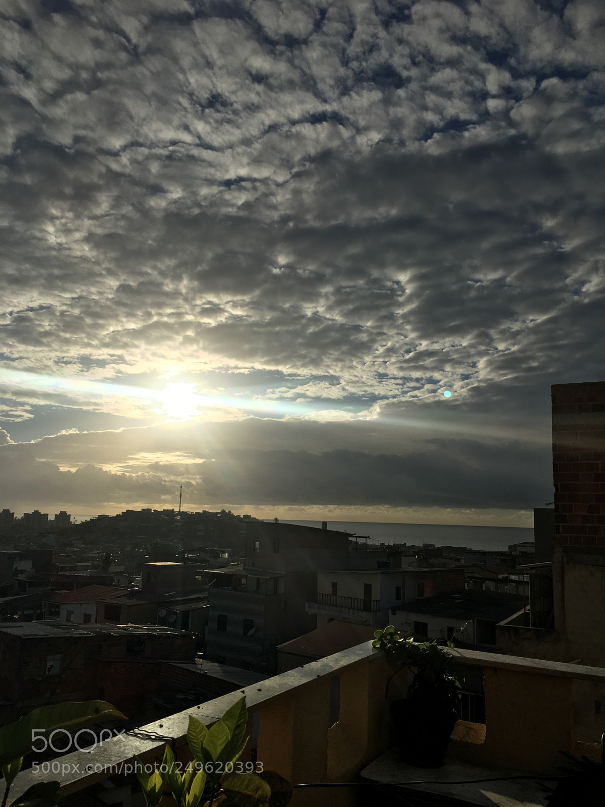 Apple iPhone 6s Plus sample photo. Untitled photography