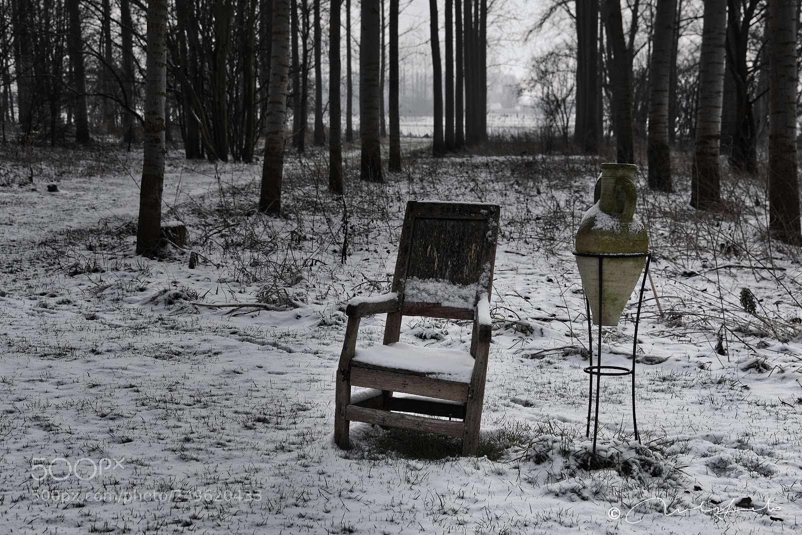 Nikon D810 sample photo. Winter chair photography