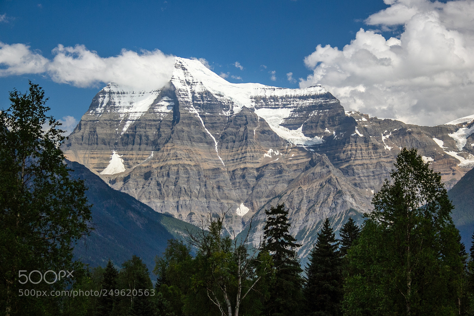 Canon EOS 60D sample photo. Img photography