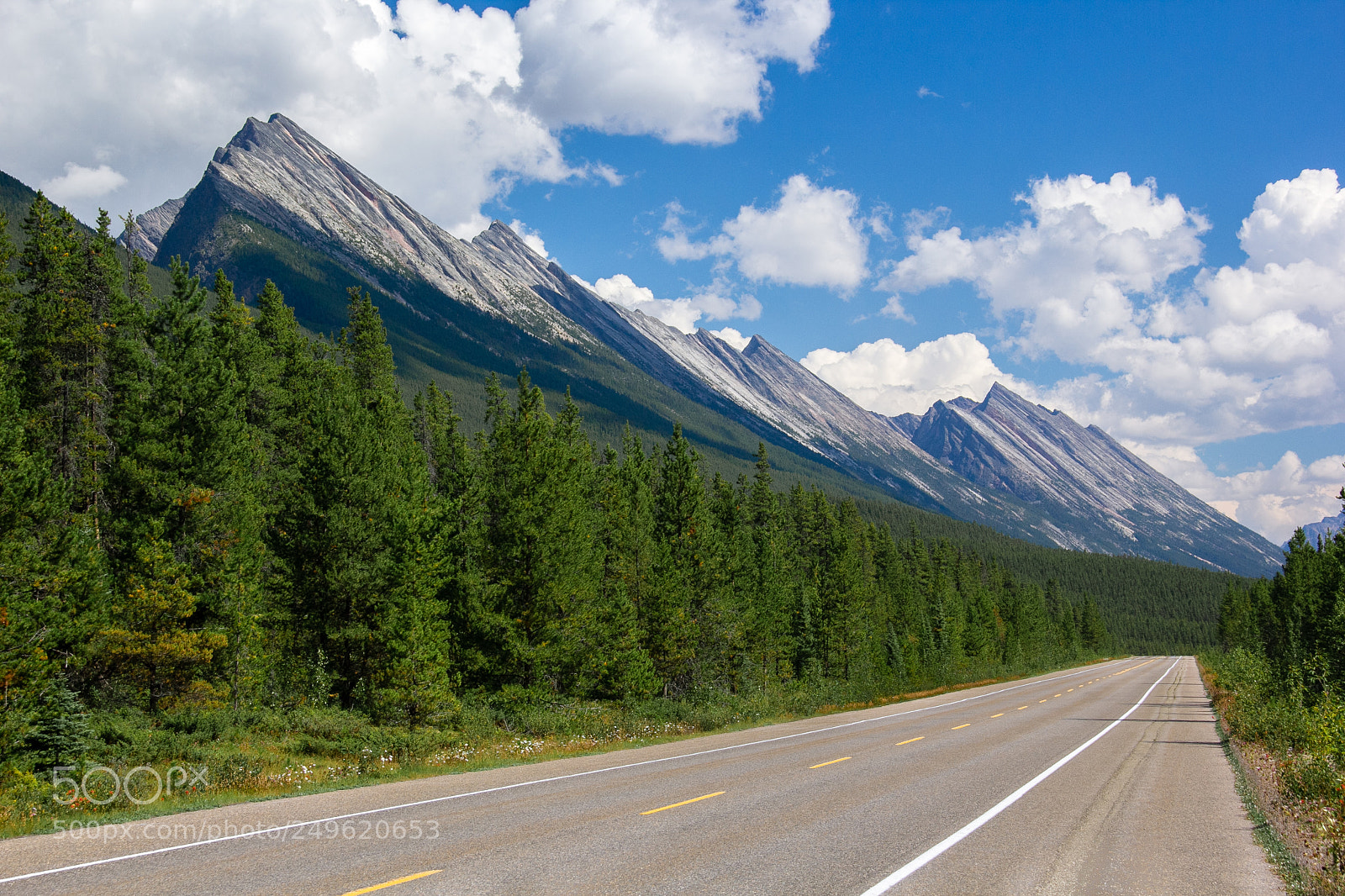 Canon EOS 60D sample photo. Leading lines in banff photography
