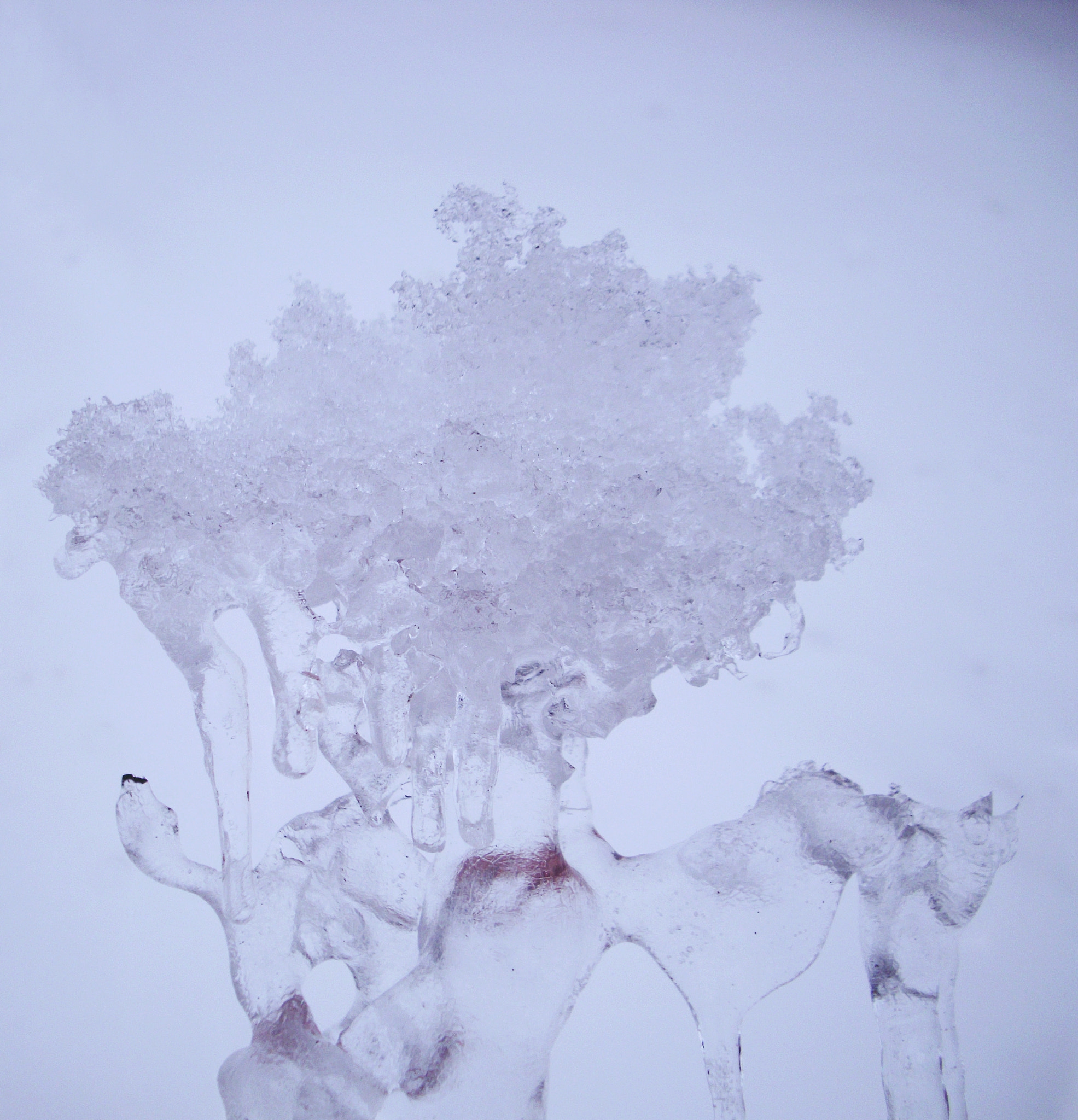 Benq DC C1060 sample photo. Ice i photography