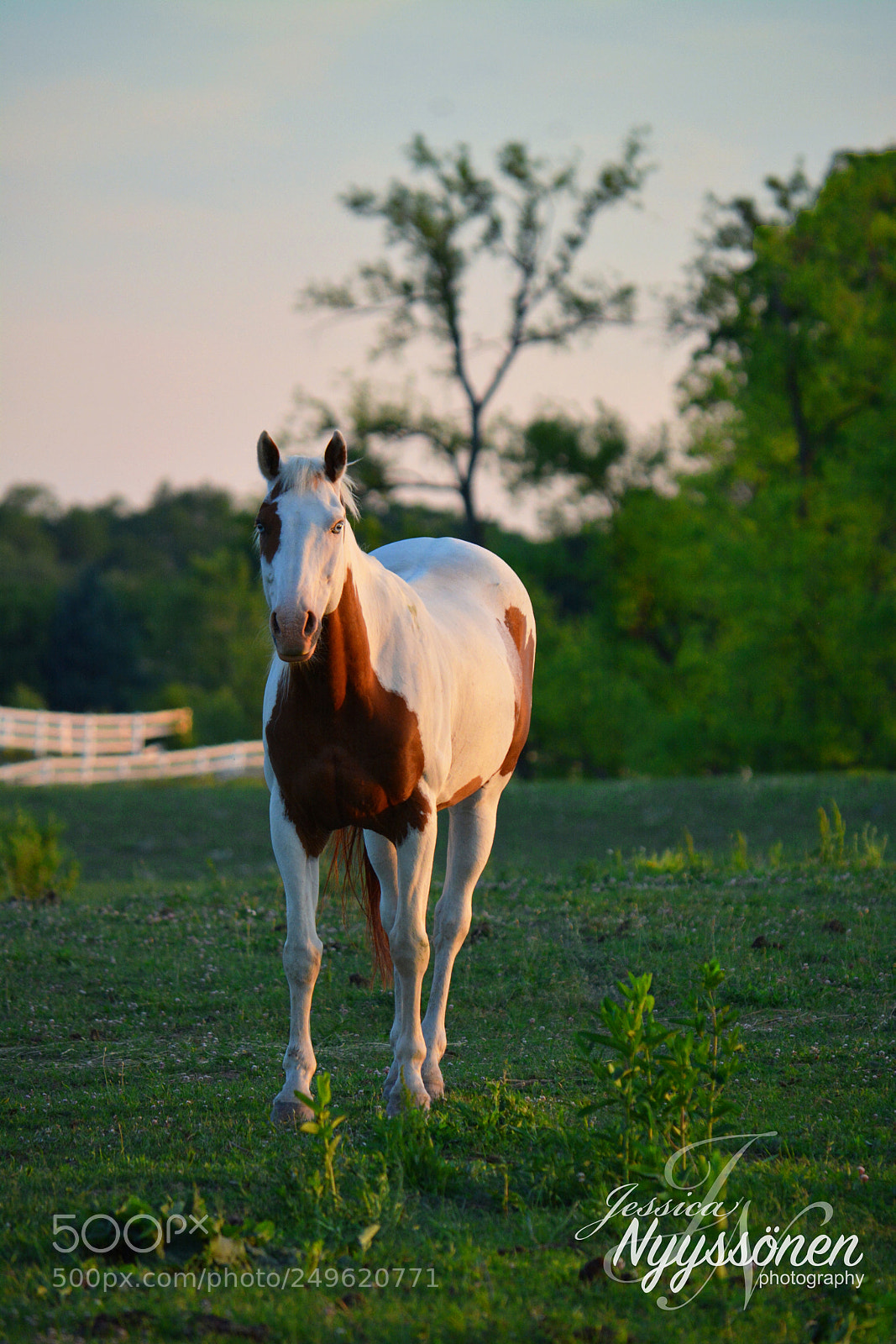Nikon D7100 sample photo. Paint ii photography