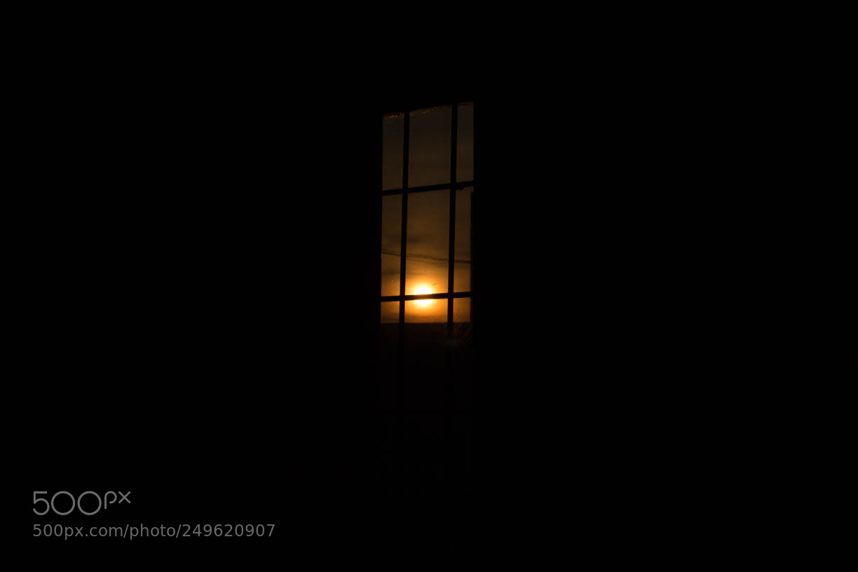Canon EOS 760D (EOS Rebel T6s / EOS 8000D) sample photo. Little light photography