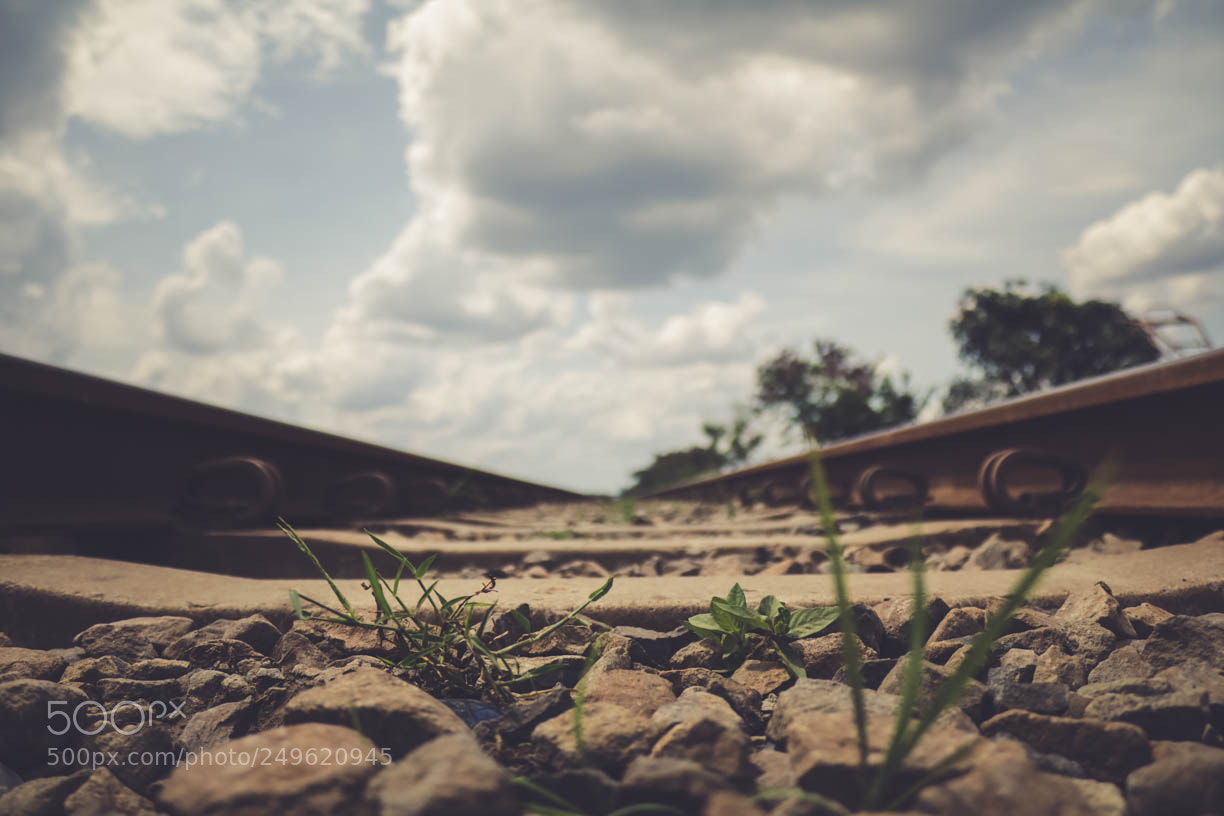 Canon EOS 760D (EOS Rebel T6s / EOS 8000D) sample photo. Alone moody photography