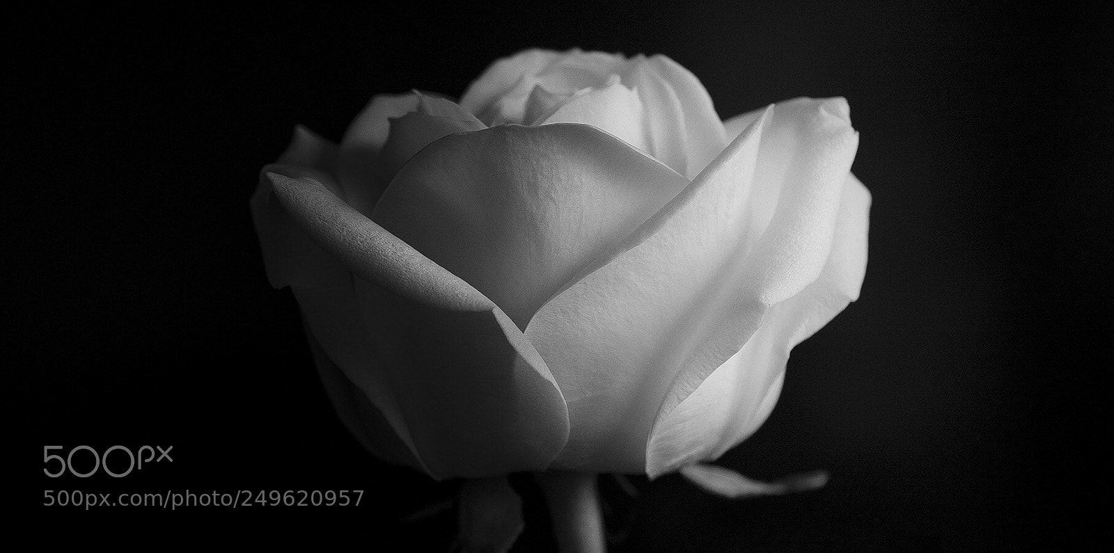 Canon EOS 700D (EOS Rebel T5i / EOS Kiss X7i) sample photo. Less is more photography