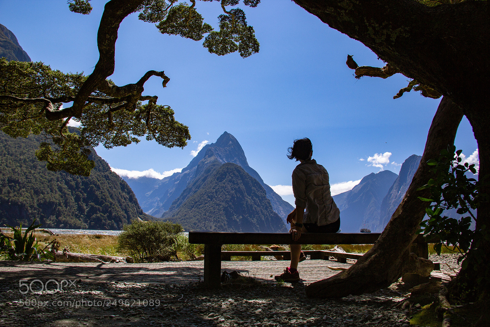 Canon EOS 60D sample photo. Relaxing at milford sound photography