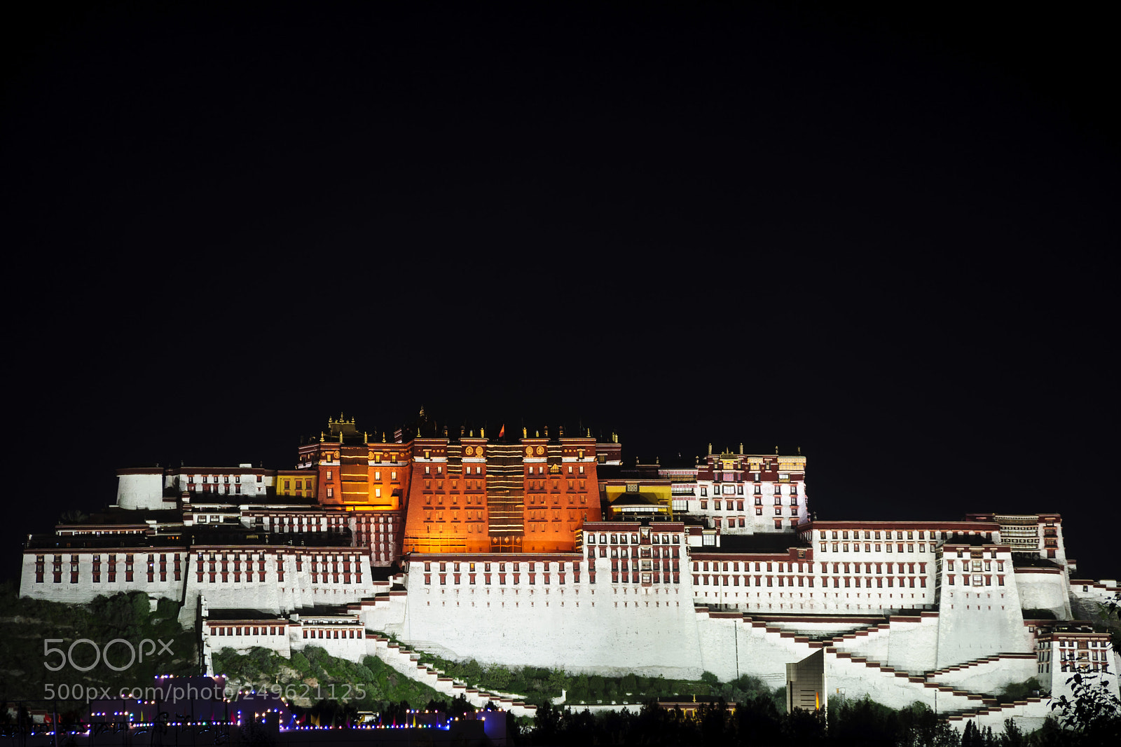 Nikon D90 sample photo. Illuminated potala photography