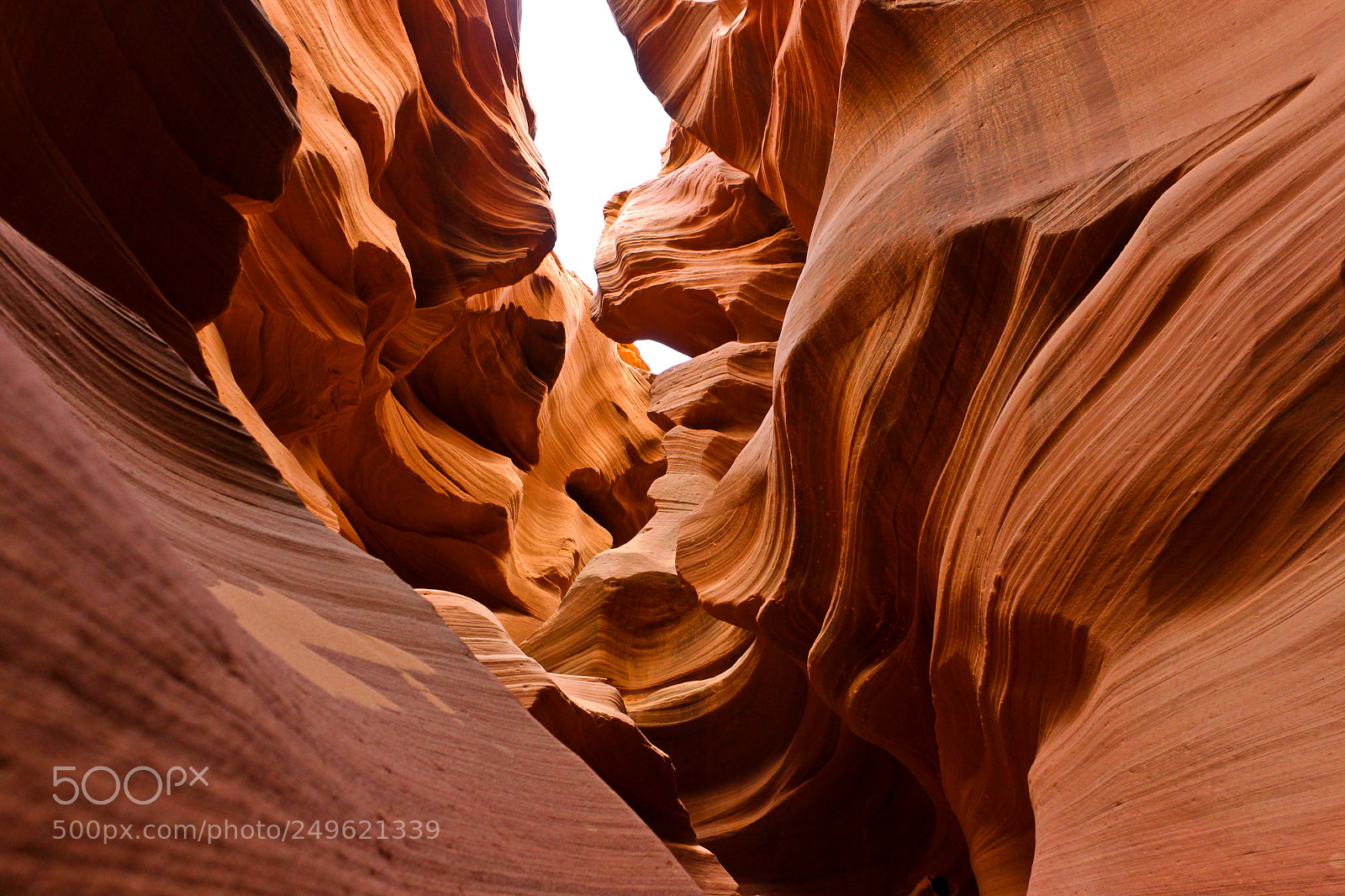 Canon EOS 500D (EOS Rebel T1i / EOS Kiss X3) sample photo. Inside the lower antelope photography