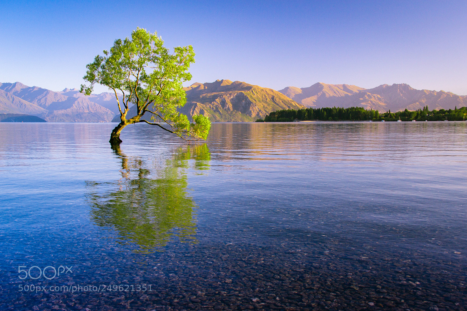 Canon EOS 60D sample photo. Dawn at lake wanaka photography