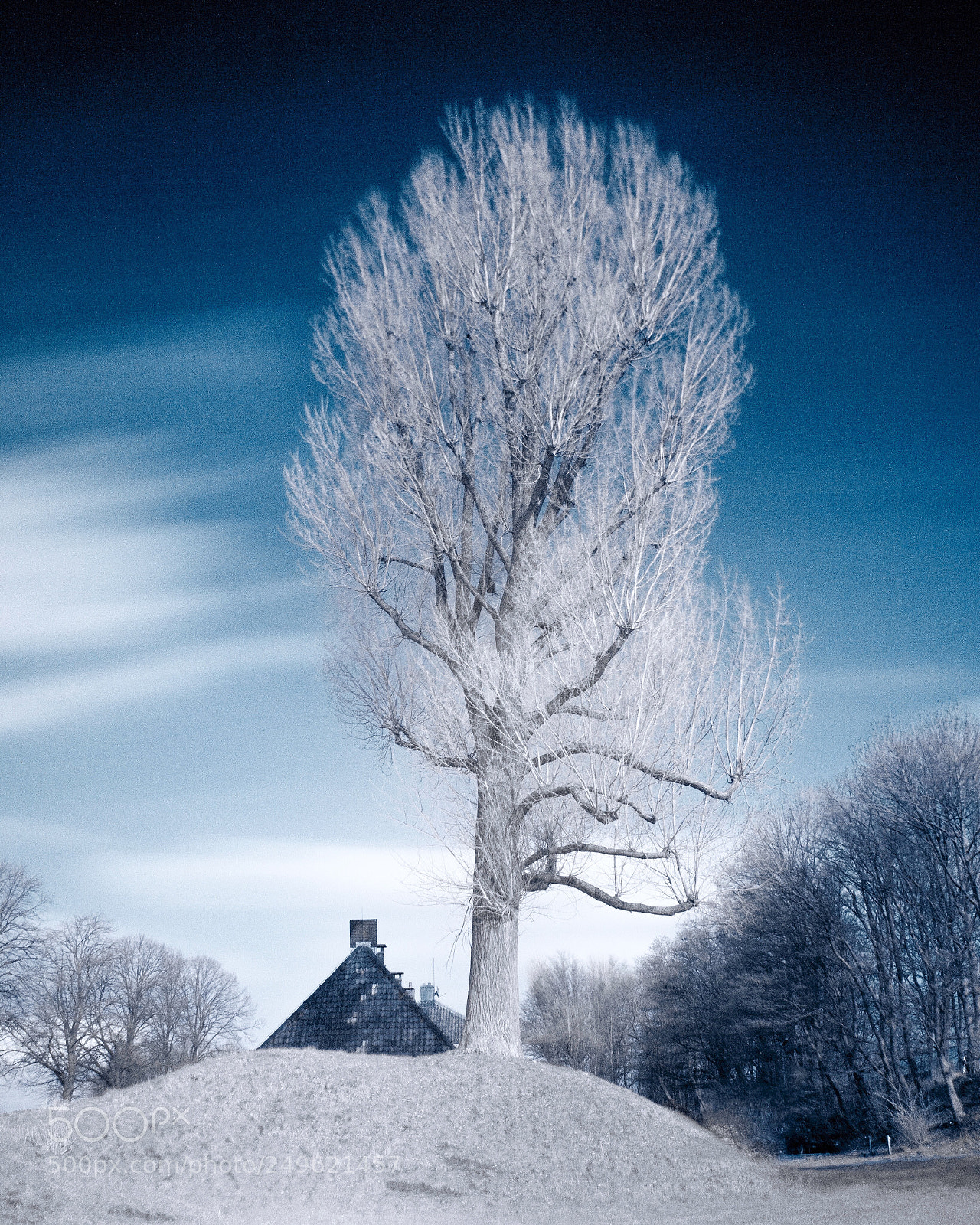 Canon EOS 700D (EOS Rebel T5i / EOS Kiss X7i) sample photo. Infrared photography