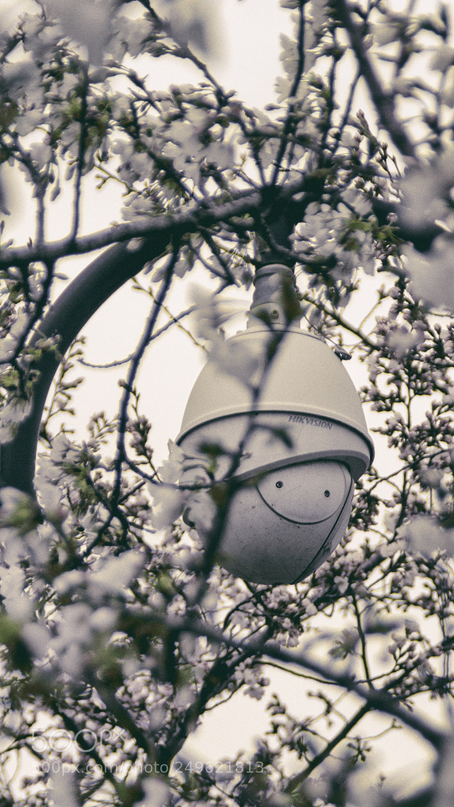 Nikon D7100 sample photo. Untitled photography