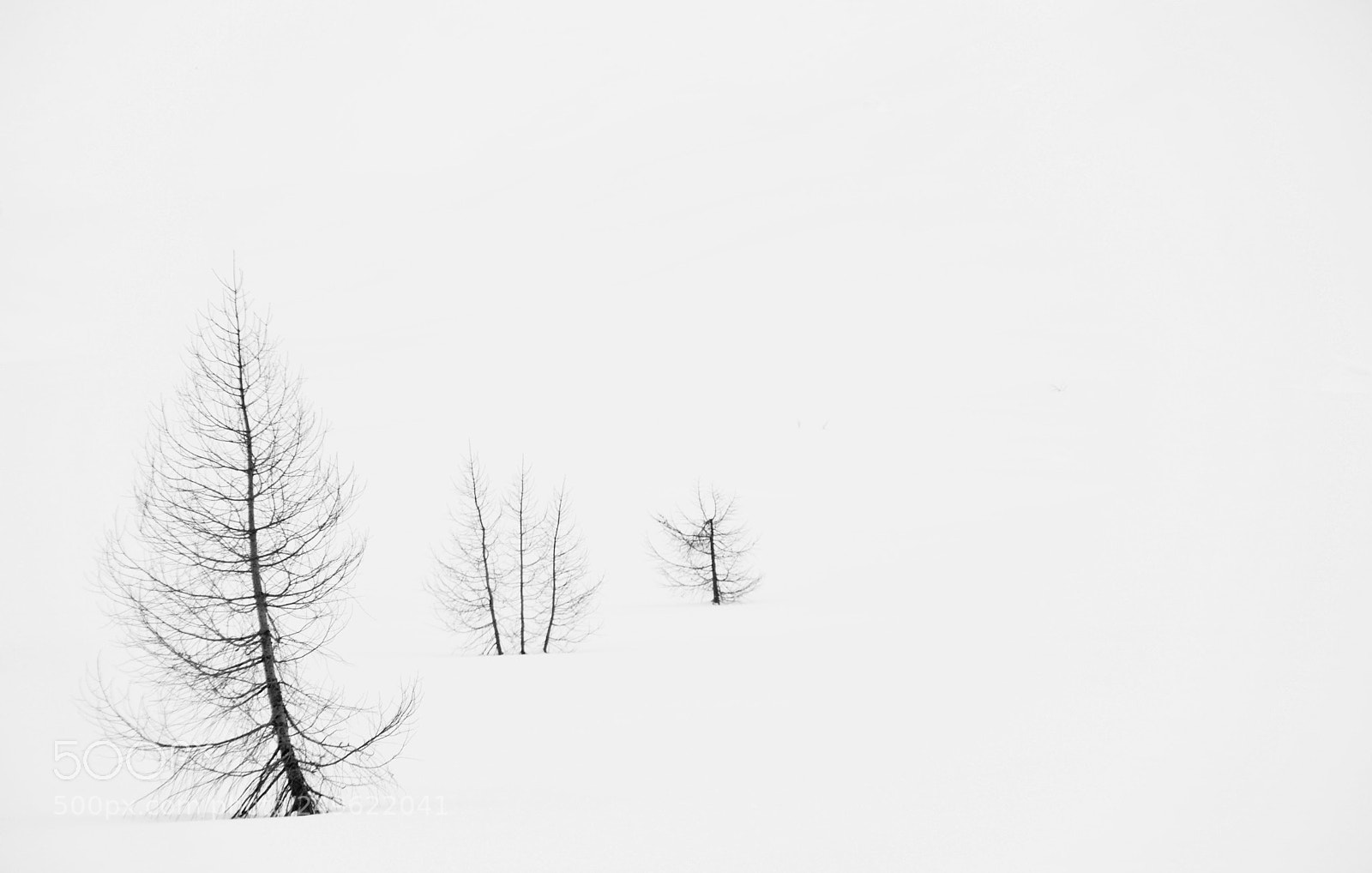 Nikon D7100 sample photo. Whiteout photography