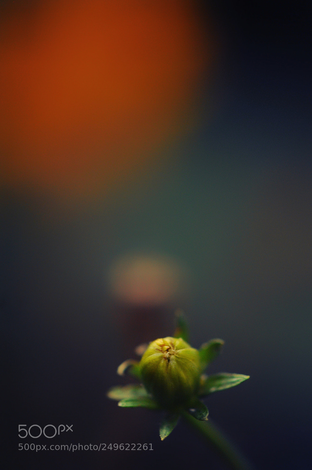 Nikon D300S sample photo. Serenity photography