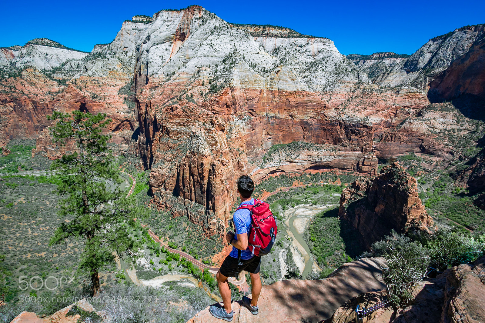 Canon EOS 60D sample photo. View from angel's landing photography