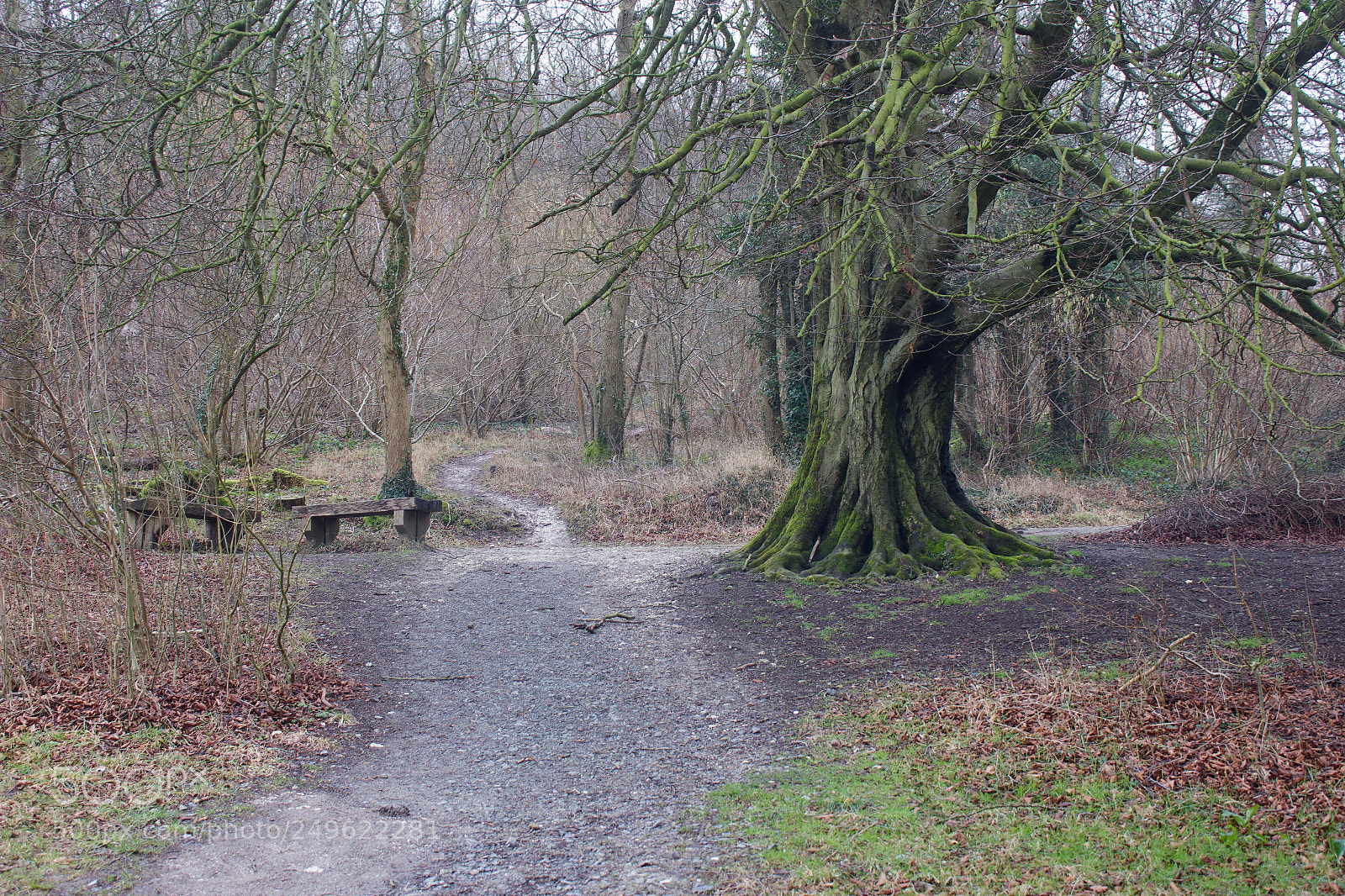 Canon EOS 70D sample photo. Weald and downland photography