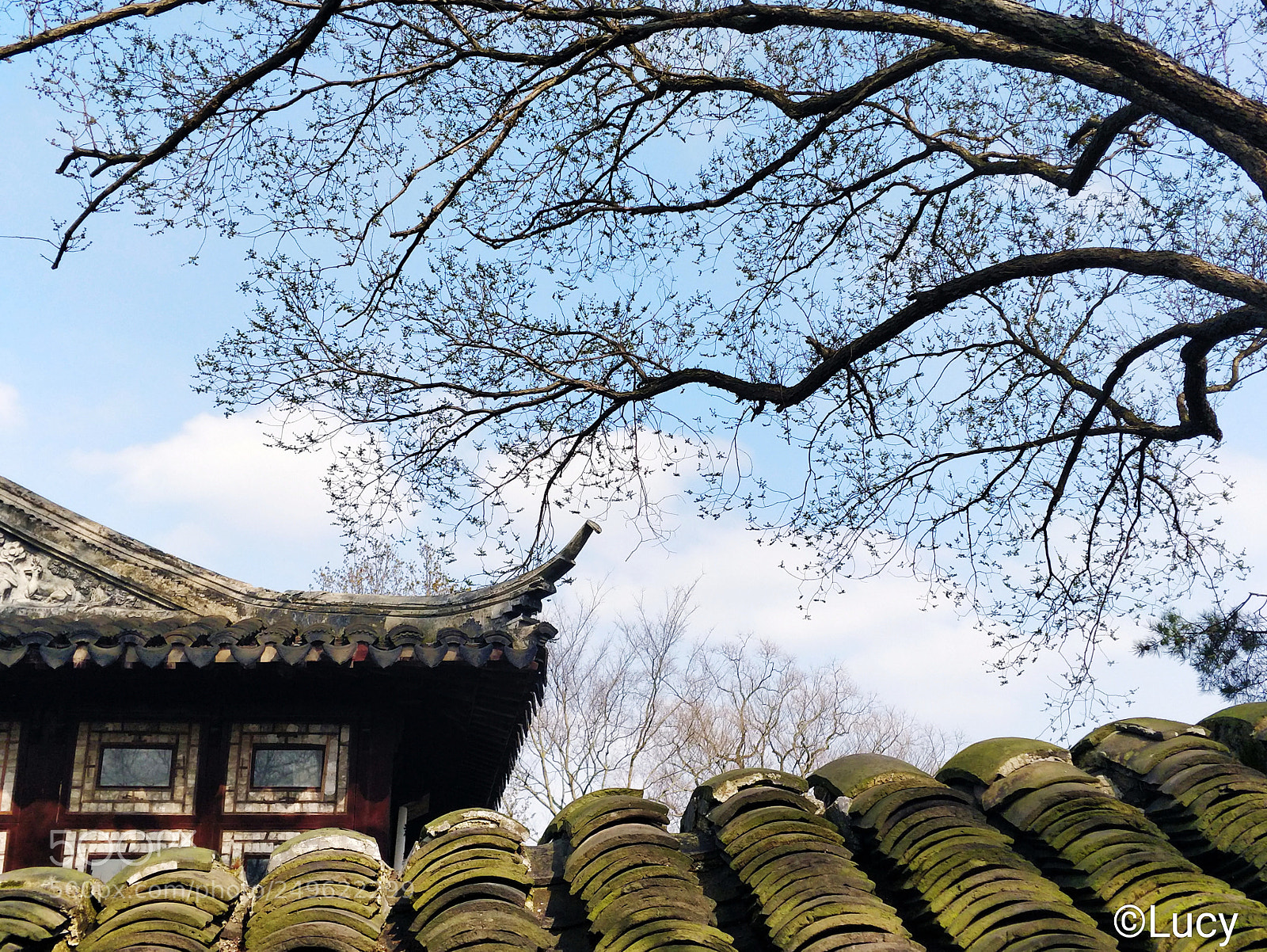 OnePlus 5 sample photo. Suzhou garden photography