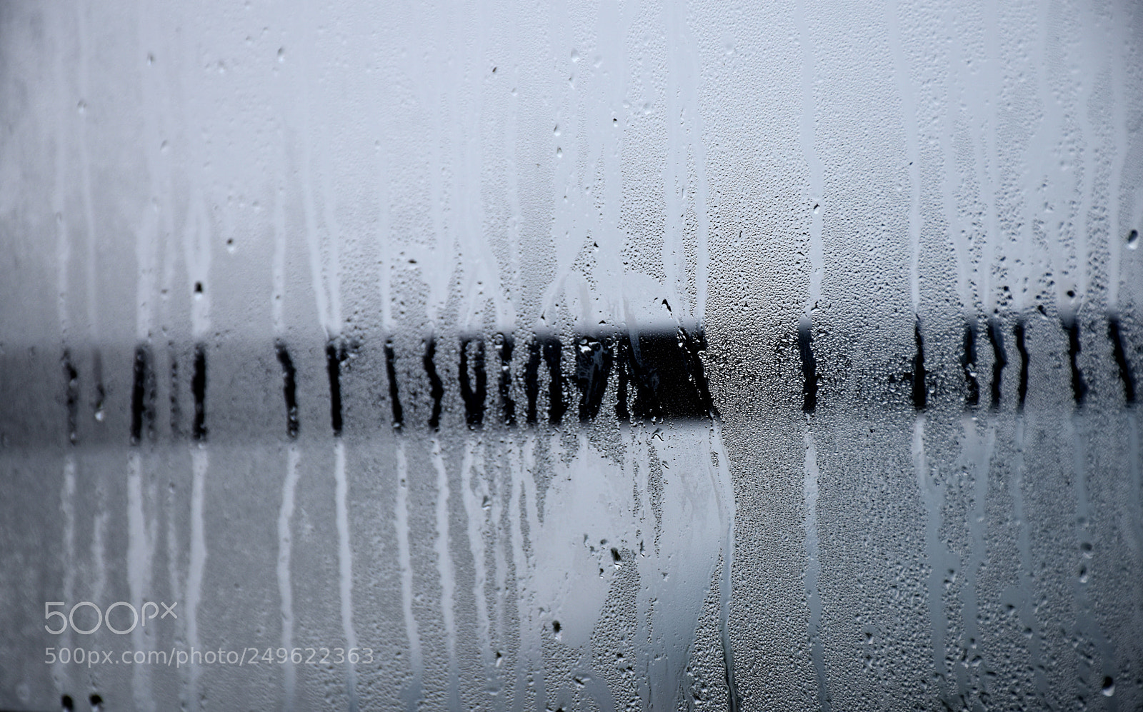 Nikon D5600 sample photo. Dew drops photography