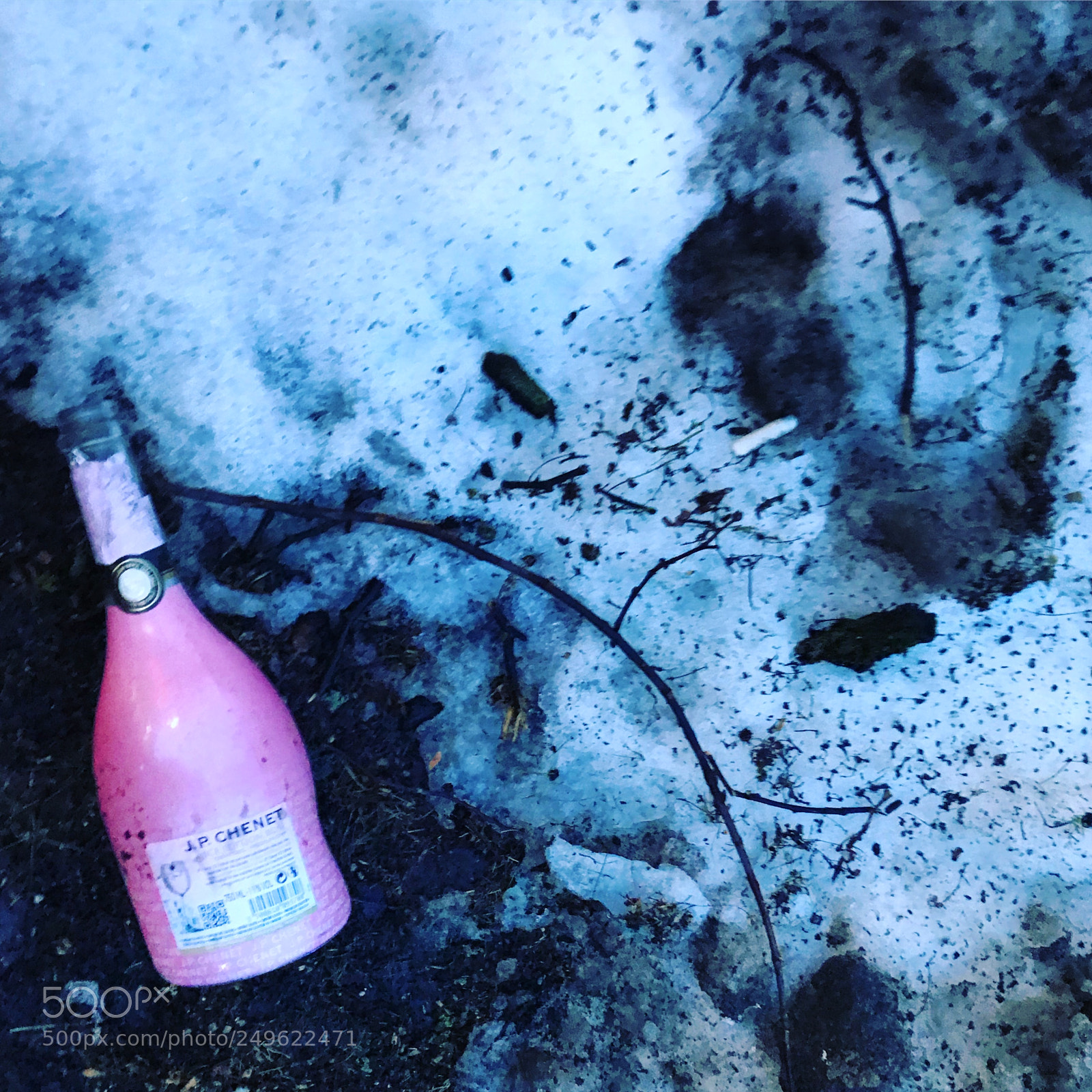Apple iPhone 7 sample photo. La vie en rose photography