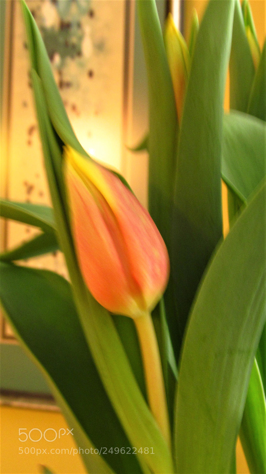 Canon PowerShot SX150 IS sample photo. Warm spring photography