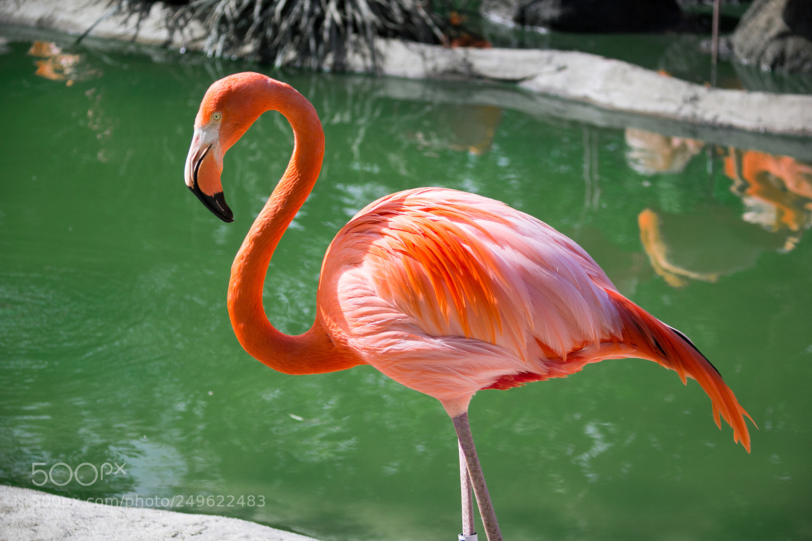 Canon EOS 60D sample photo. Img photography
