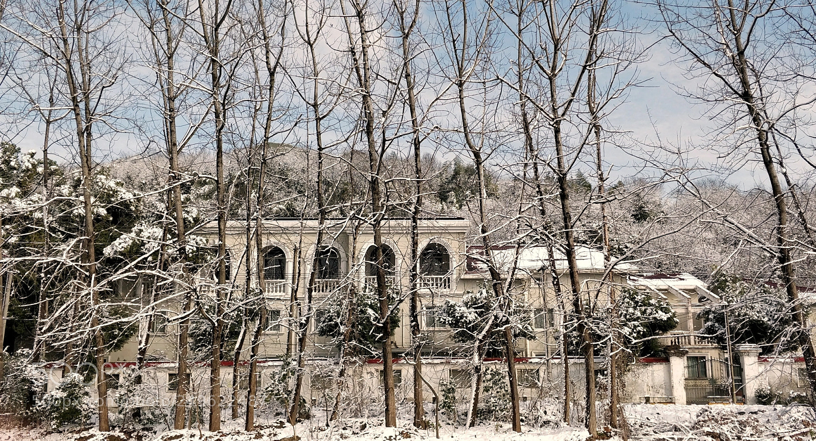 OnePlus 5 sample photo. Story in snow photography