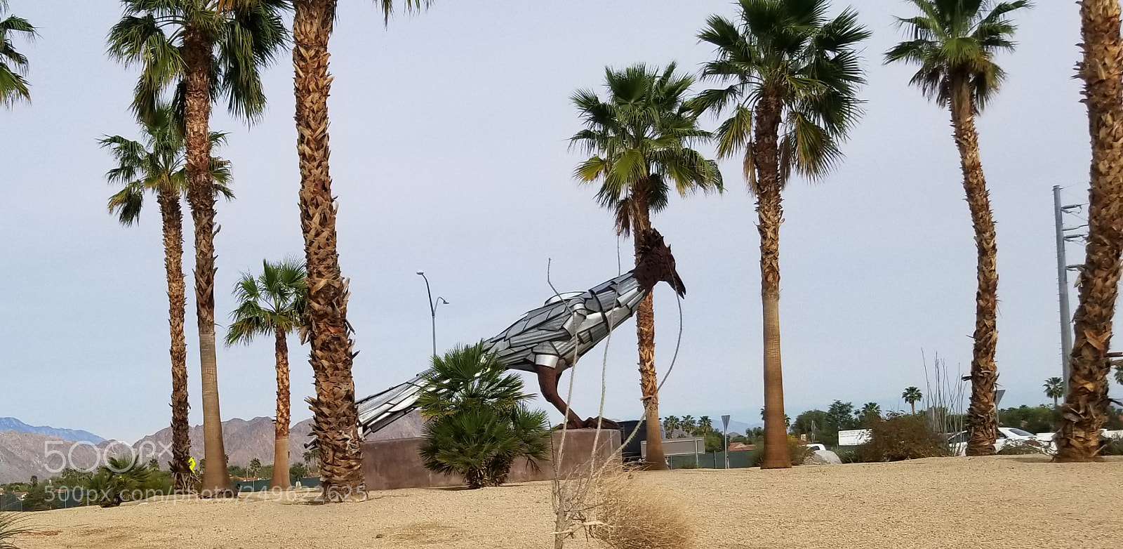 Samsung Galaxy S8+ sample photo. "meep, meep!" photography