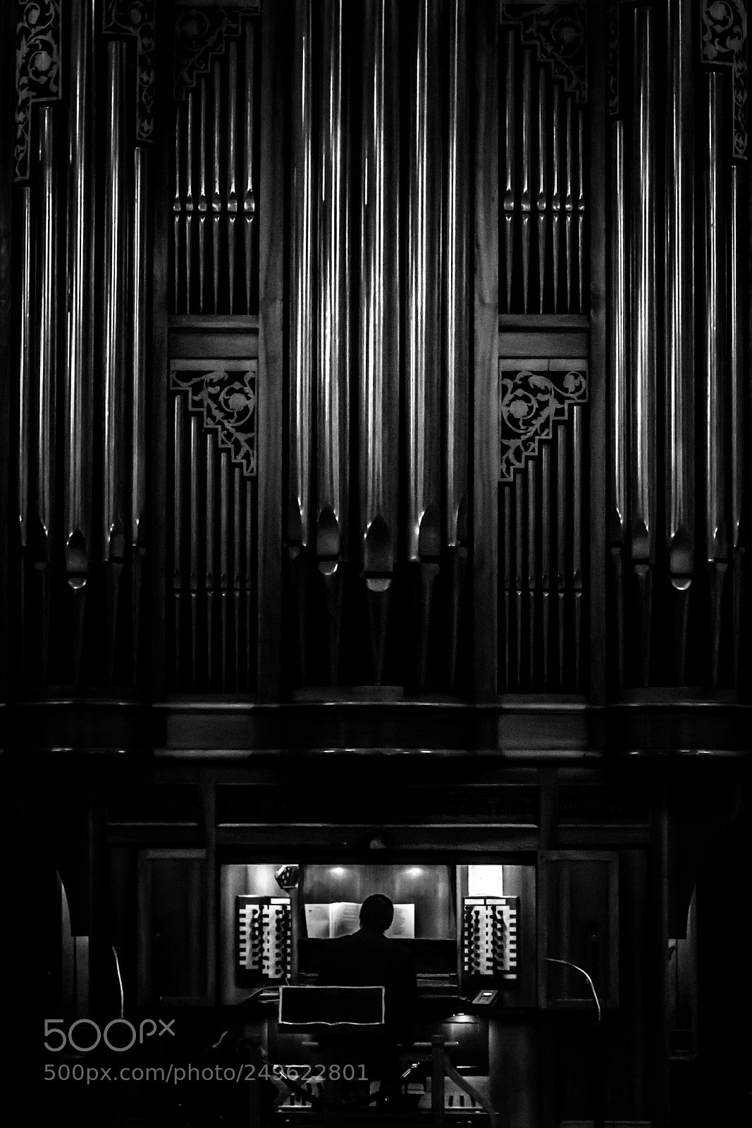 Canon EOS 650D (EOS Rebel T4i / EOS Kiss X6i) sample photo. Playing organ photography