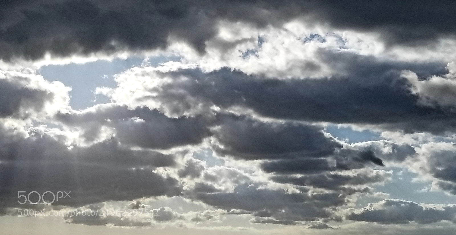 Samsung Galaxy S8+ sample photo. Brush strokes of our photography