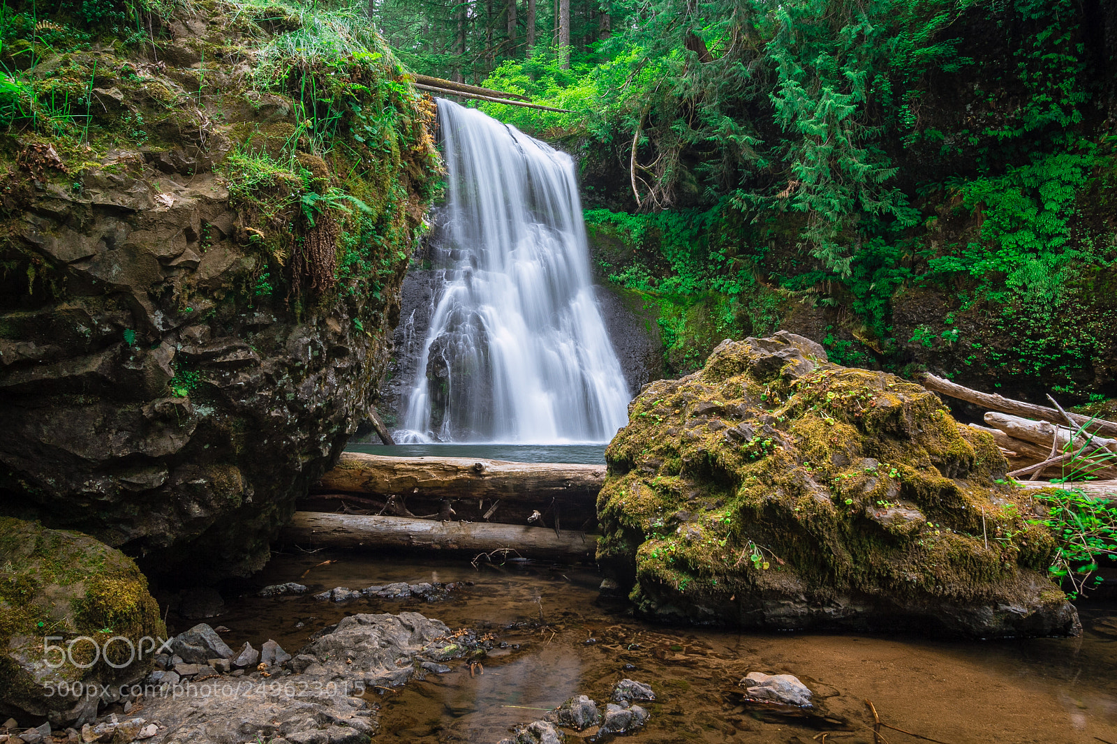 Canon EOS 60D sample photo. Img photography