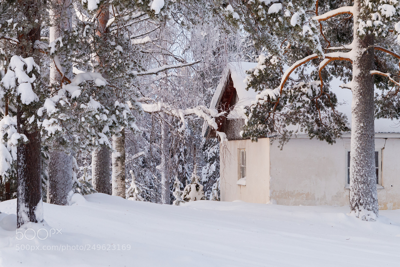 Canon EOS 80D sample photo. Winter photography