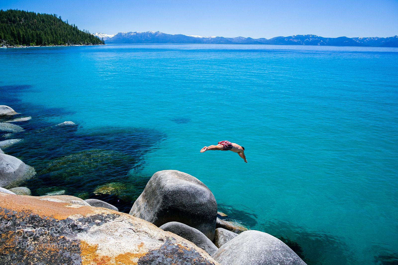 Canon EOS 60D sample photo. Dive into lake tahoe photography