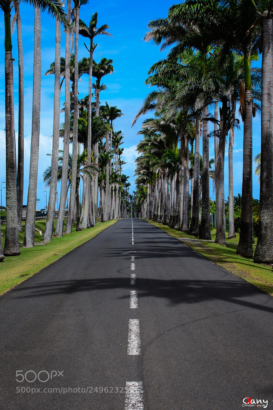 Nikon D7500 sample photo. Road to capesterre-belle-eau photography