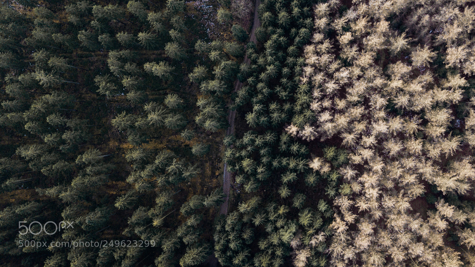 DJI FC220 sample photo. Contrast photography