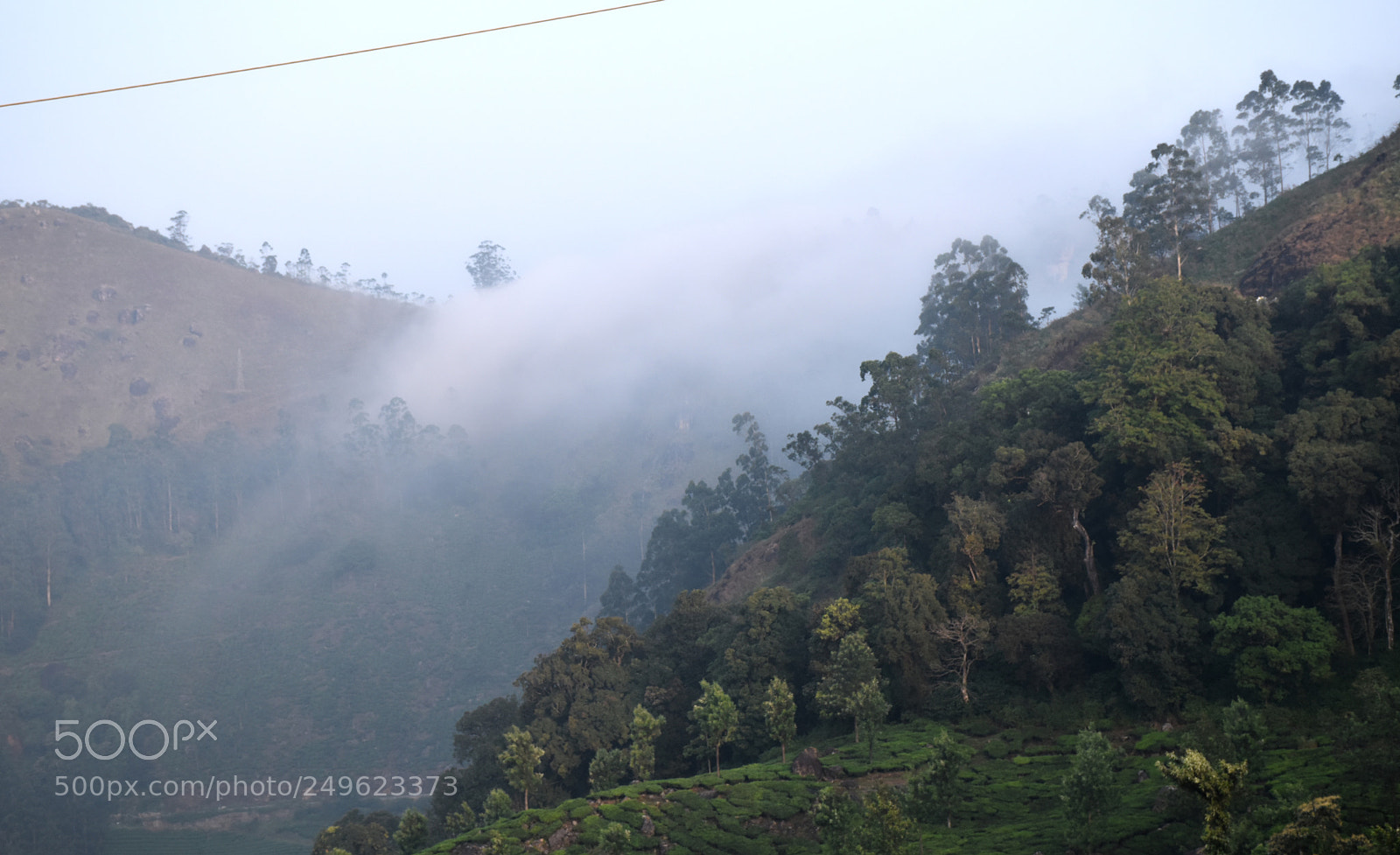 Nikon D5600 sample photo. The fog always lifts photography