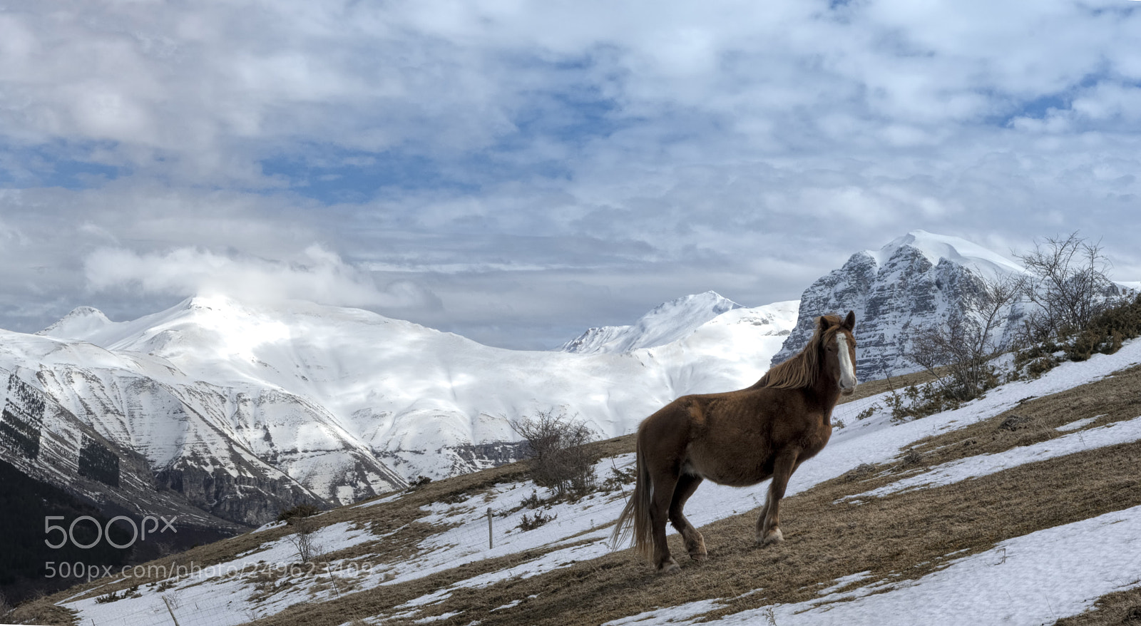 Pentax K-3 sample photo. Wild horse photography