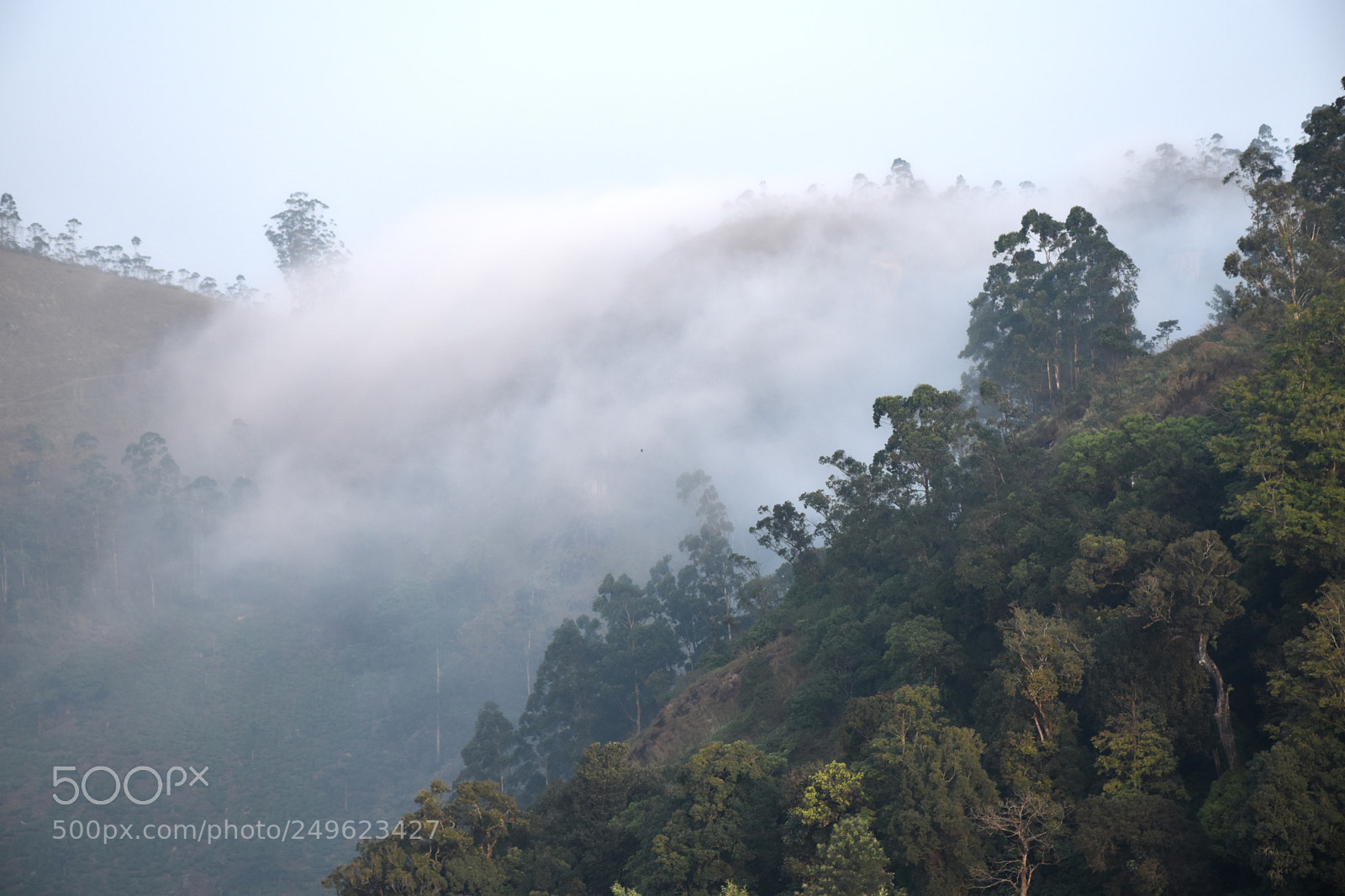 Nikon D5600 sample photo. The fog always lifts photography