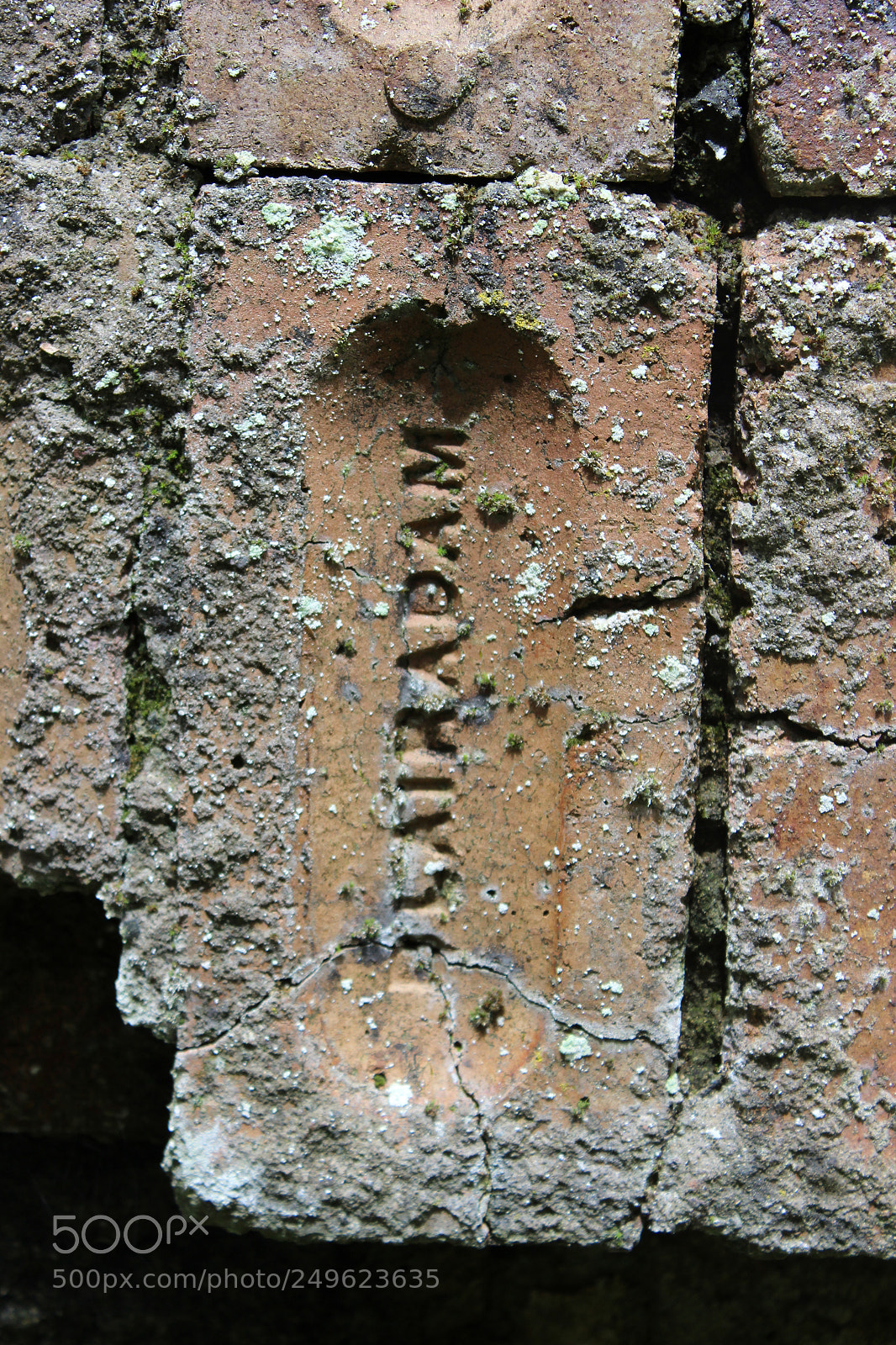 Canon EOS 600D (Rebel EOS T3i / EOS Kiss X5) sample photo. Blairadam brick photography