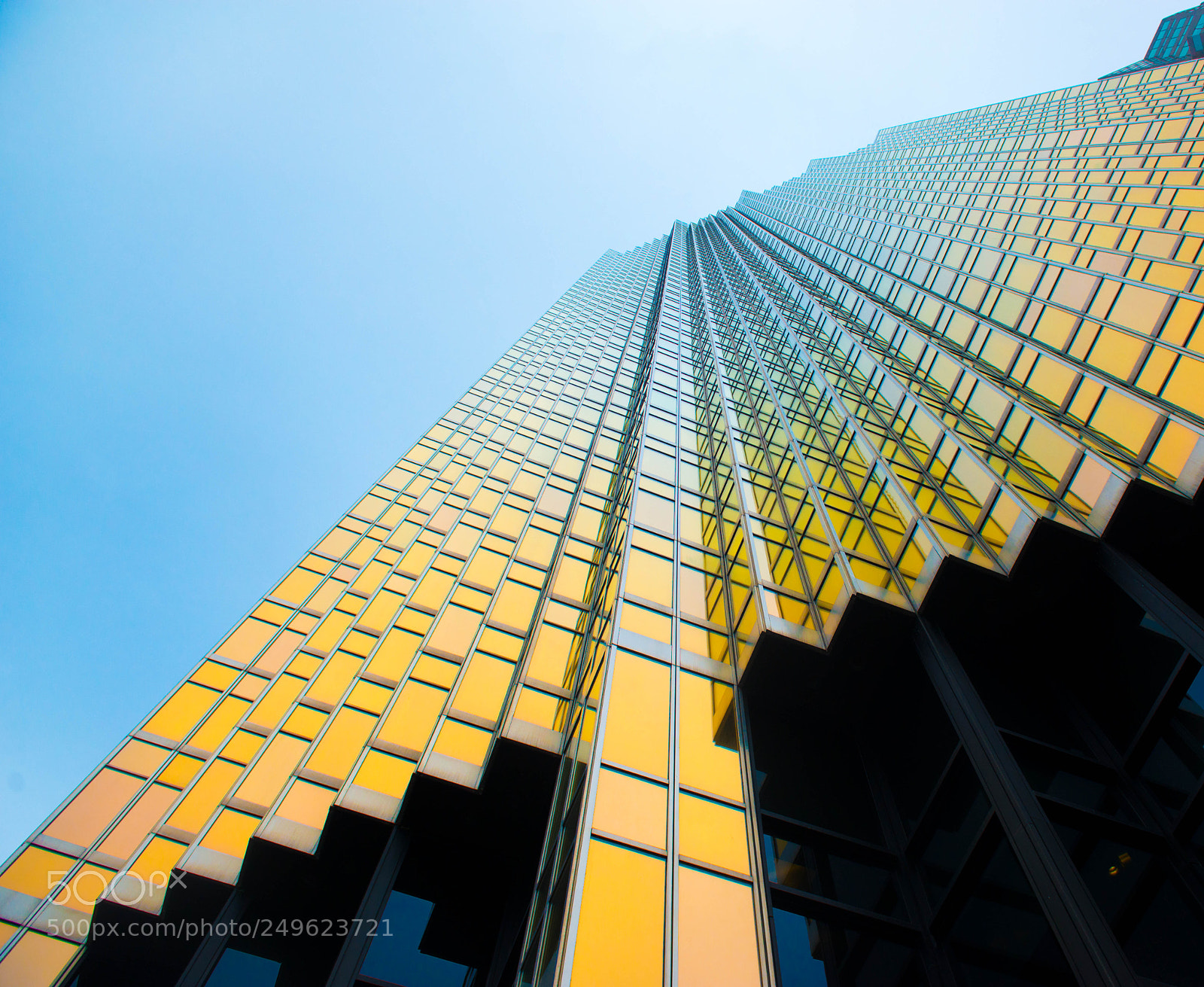 Nikon D800 sample photo. Gold photography