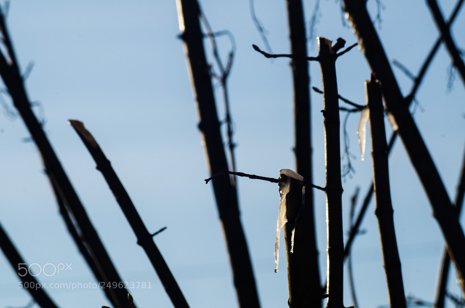Pentax K-50 sample photo. Winter has come photography