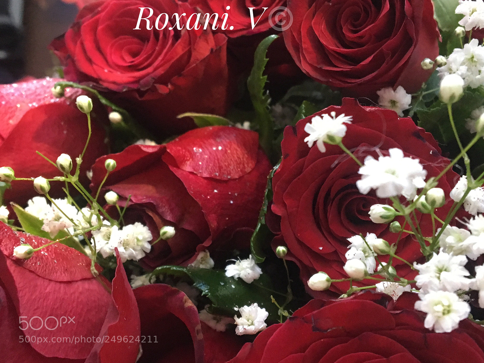 Apple iPhone 6s sample photo. Розы photography