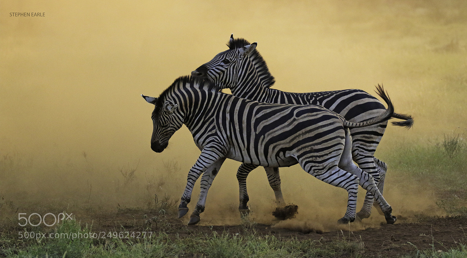 Canon EOS 7D Mark II sample photo. In the dust photography