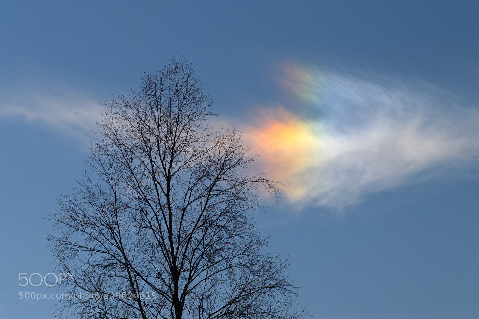 Canon EOS 80D sample photo. Sundog photography