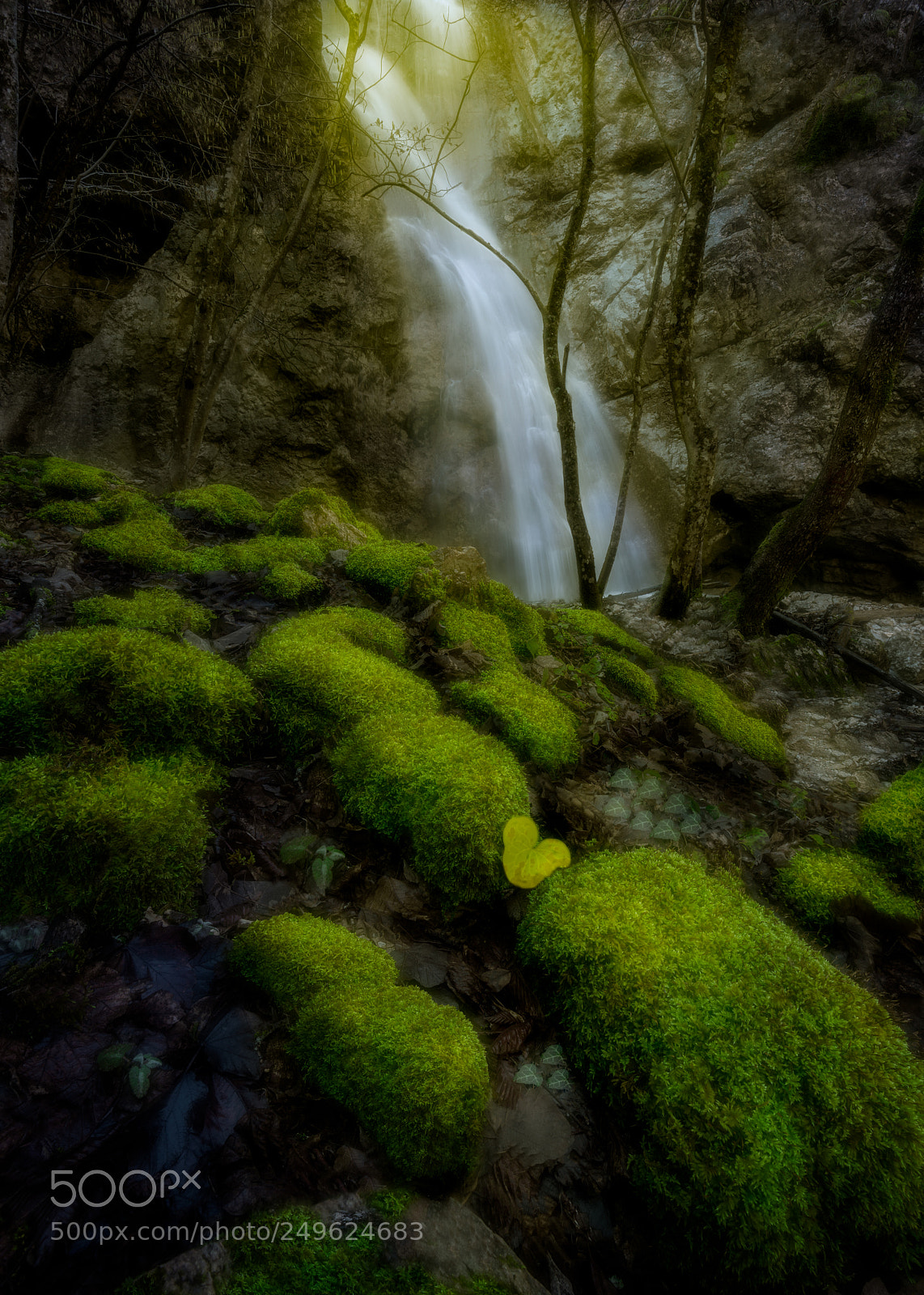 Nikon D810 sample photo. A hidden waterfall into photography