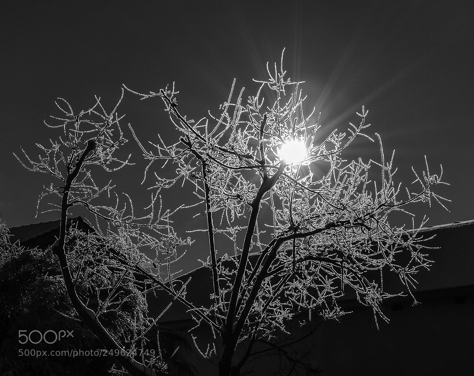 Nikon D5100 sample photo. Rauhreif photography