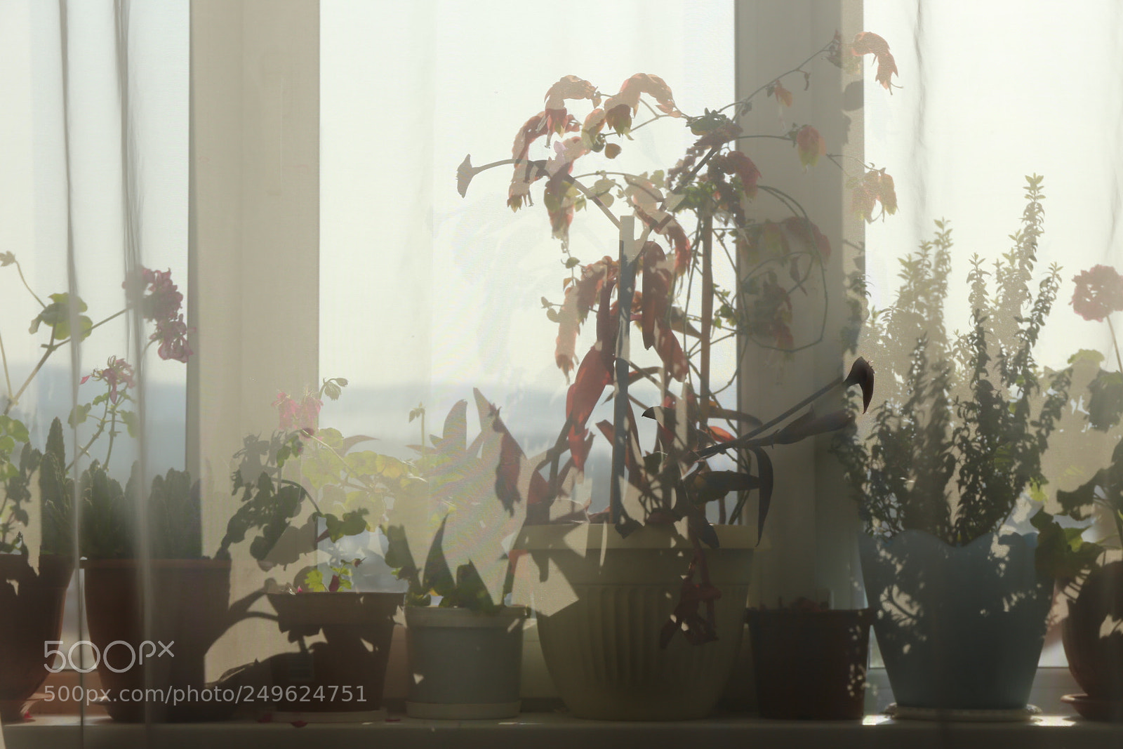 Canon EF 24-70mm F4L IS USM sample photo. Shadows photography