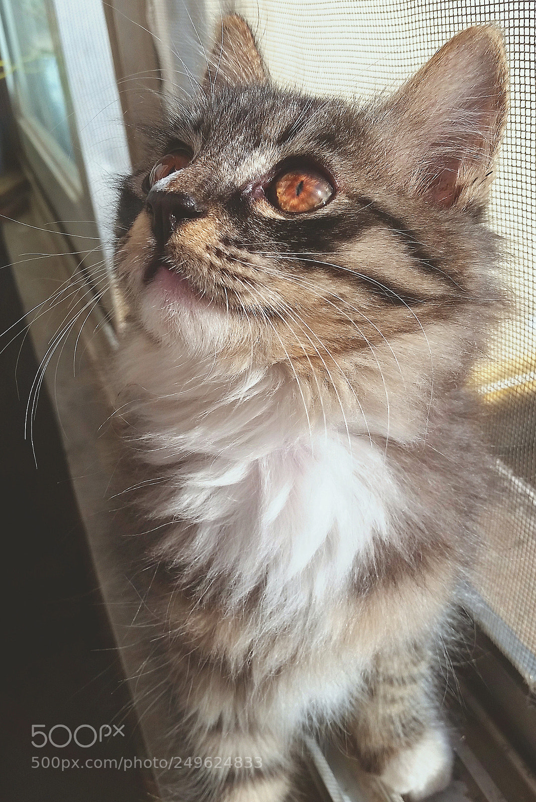 Samsung Galaxy S5 sample photo. There is a universe photography