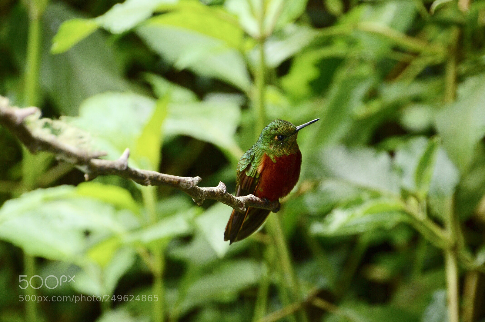 Nikon D7000 sample photo. One more photography